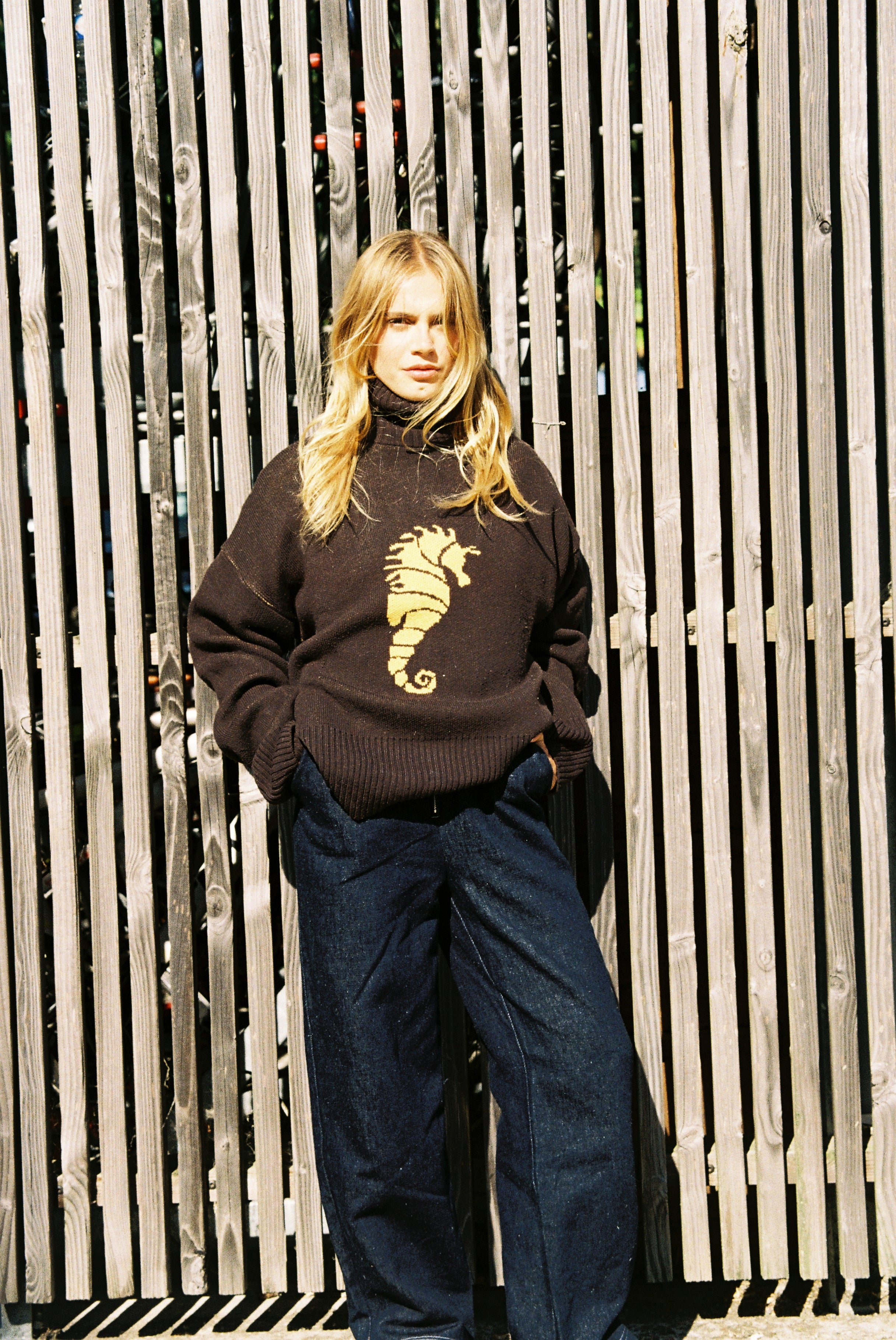 Pull Hypo-Marron/Soleil